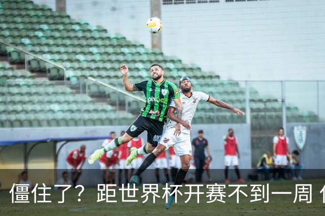 僵住了？距世界杯开赛不到一周 伊朗队仍未获得美国签证