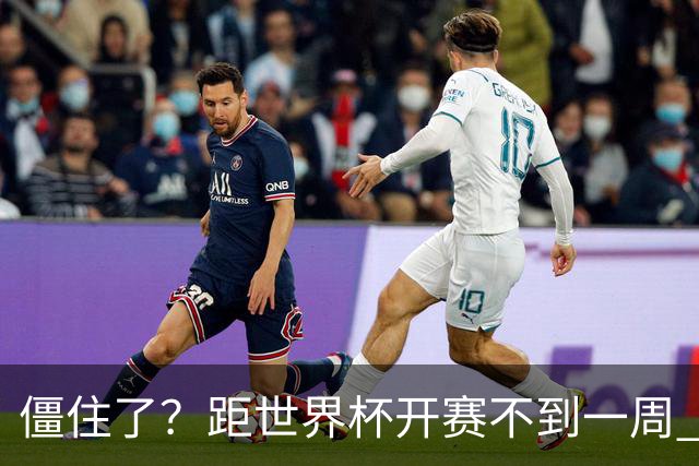 僵住了？距世界杯开赛不到一周 伊朗队仍未获得美国签证