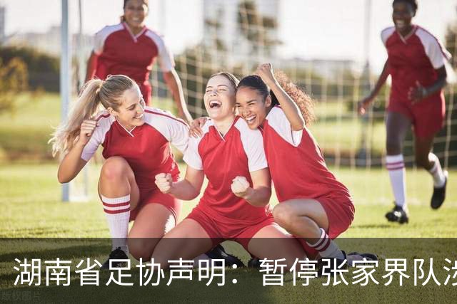 湖南省足协声明：暂停张家界队涉事人员参加省内一切足球活动