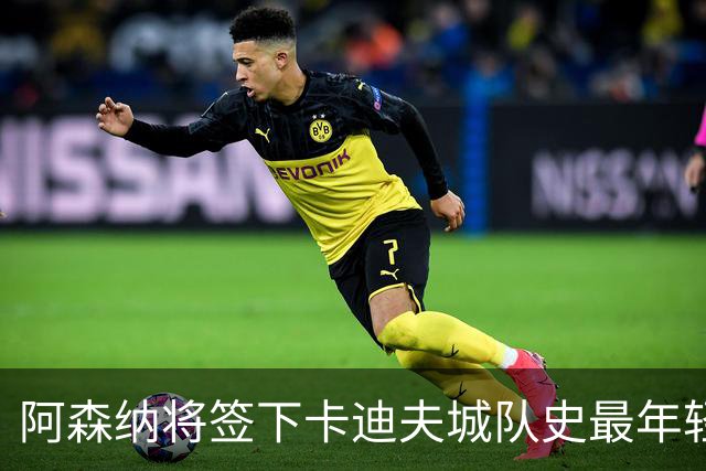 阿森纳将签下卡迪夫城队史最年轻出场球员阿克塞尔·唐切夫