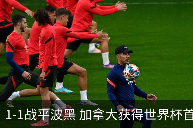 1-1战平波黑 加拿大获得世界杯首个积分