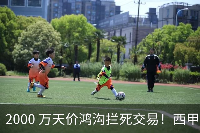 2000 万天价鸿沟拦死交易！西甲豪门全力抢欧洲杯飞翼，终极翻盘悬念拉满